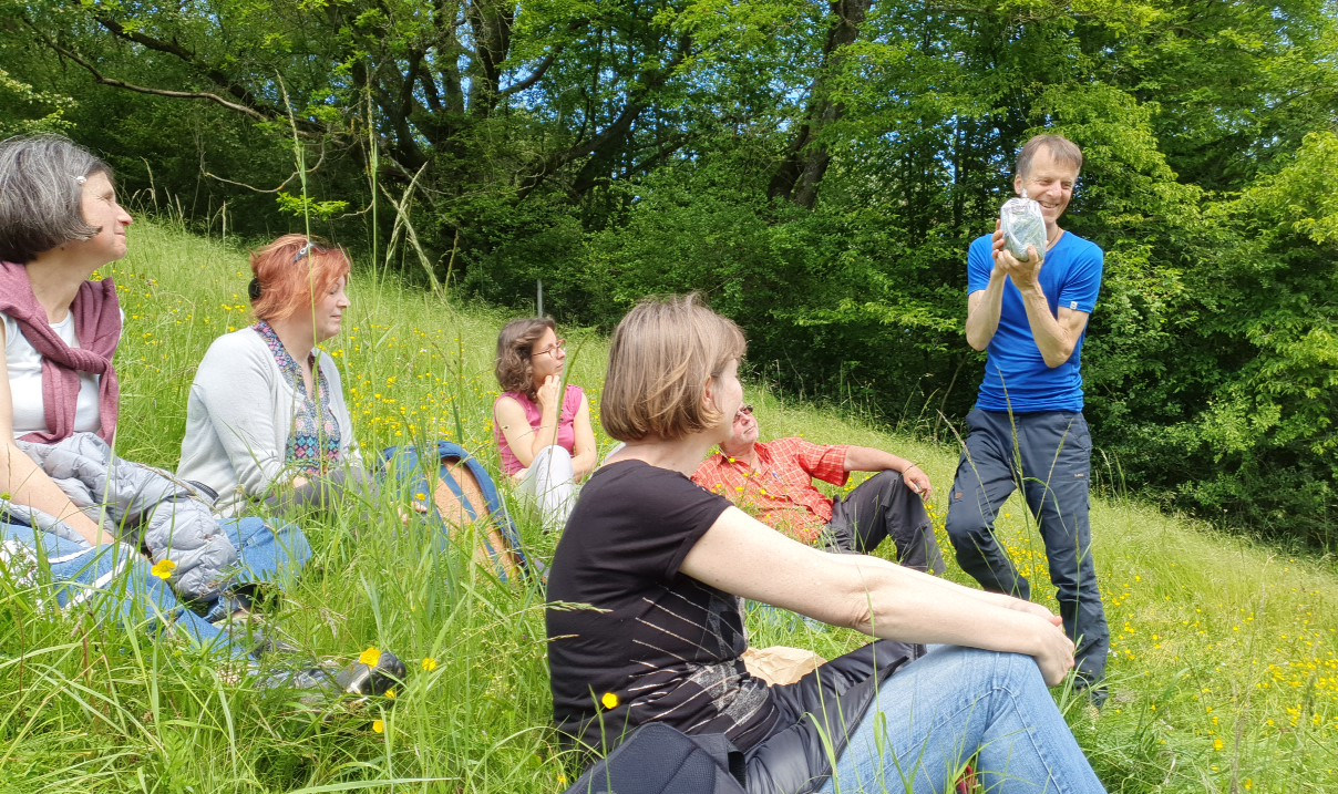 Wildkräuter Jahresausbildung 2024 Kräuterfrau/Kräutermann <br>- heilsame Lebensweise