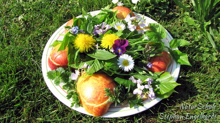 Vortrag - Gesund sein mit einer natürlichen Ernährungs- und Lebensweise