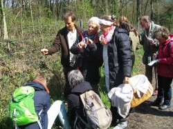 Ein Tag in der NaturSchule